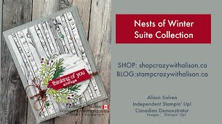 Nests of Winter Suite Collection with Stamp Crazy with Alison [upl. by Russell]