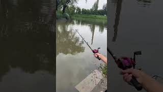 Best affordable fishing baits viralvideo youtubeshorts [upl. by Inesita]