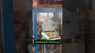 Carnival Cruise Dining  Blue Iguana Does this [upl. by Assetniuq]