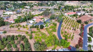 30410 Calle la Reina Bonsall CA video [upl. by Amalle547]