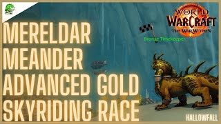 Mereldar Meander Advanced Gold Skyriding Race The War Within [upl. by Burgess18]