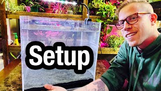 How to Set Up a Fish Aquarium at Home  Beginners Guide [upl. by Ynaffad]