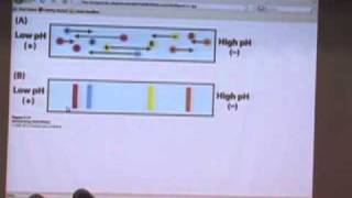 Protein Characterization II [upl. by Yv316]