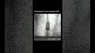 Magnetic Field Visualized 😎 science physics interesting experiment [upl. by Skrap845]