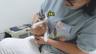 When My Mom First Met The Rescued Kitten🐾 Daily Cuteness Ep7 [upl. by Ebaj875]