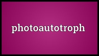 Photoautotroph Meaning [upl. by Terriss]