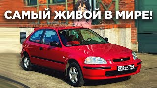 HONDA CIVIC ЗА 150К МОЯ НОВАЯ МАШИНА [upl. by Aihtenyc]