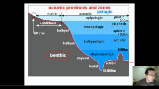 Ocean Life Part 1 Types amp Regions [upl. by Inalaek327]