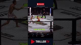 Ilia Topuria destroys Max Holloway [upl. by Eadahs]