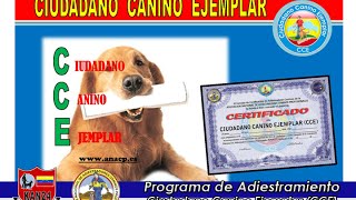 Programa de Adiestramiento quotCiudadano Canino Ejemplarquot [upl. by Rebeka]