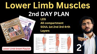 Lower Limb Muscles Anatomy Leg amp Sole Compartments  Complete HNML Lower Limb Guide  Final Part 2 [upl. by Acirema]