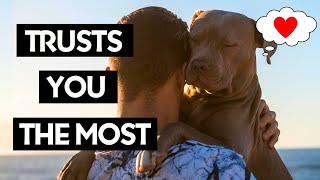 10 Signs Your Dog REALLY Trusts You Not Every Dog Owner [upl. by Stanly]