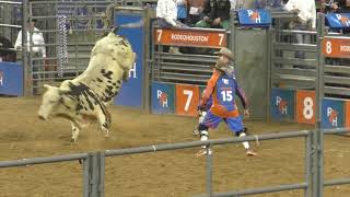 Bull Riding  SemiFinals  Houston Rodeo  14 March 2019 [upl. by Enrahs]