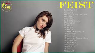 Feist Greatest Hits  Best songs Of Feist Full Album [upl. by Elephus]