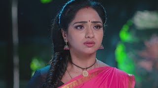 Trinayani Serial Today New Episode 12112024 Full VideoTrinayani Serial Today New Episode [upl. by Ecirtahs]