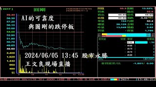 AI的可靠度 與圓剛的跌停板 20240605「王文良股市永勝」1345 現場直播 [upl. by Hyo]