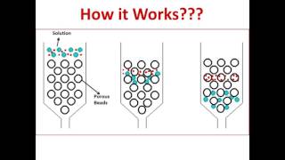 Gel Filtration Chromatography [upl. by Elijah]