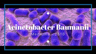 Acinetobacter Baumanii  Factores de patogenicidad y virulencia [upl. by Kiyoshi]