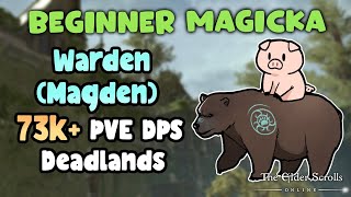 ESO Beginner Magicka Warden Magden 73k PVE DPS Build Deadlands [upl. by Burnight]