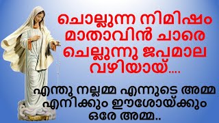 ചൊല്ലുന്ന നിമിഷം മാതാവിൻ ചാരെ  Chollunna nimisham mathavin chare  Mary Matha  Mother Mary Song [upl. by Haem]