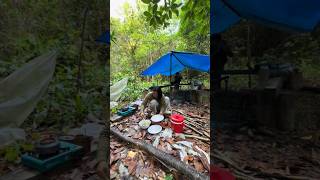 Cewek Dayak review cari ikan di sungai Amazon nya hutan Kalimantan part 2 [upl. by Naryt]