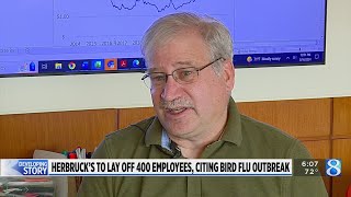 Herbruck’s to lay off 400 employees citing bird flu outbreak [upl. by Paske]