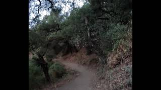 Castleridge Trail Pleasanton CA [upl. by Legir]