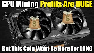 GPU Mining PROFITS EXPLODE  But Dont FOMO Into Rigs Yet [upl. by Rafter386]