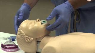 Airway Management [upl. by Bartolome]