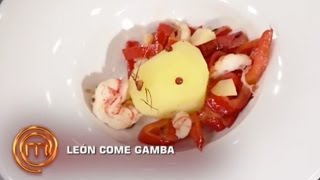 León come gamba  MasterChef 3 [upl. by Tiram]