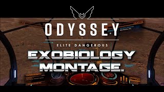 Elite Dangerous Odyssey  Exobiology Montage [upl. by Kushner649]