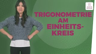 Trigonometrie anschaulich erklärt I musstewissen Mathe [upl. by Oalsinatse156]