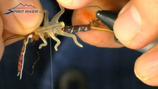 Bug Partz Stonefly Fly Tying  Spirit River [upl. by Yolande53]