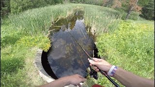 Roadside Small Creek Fishing For Clear Water Bass [upl. by Chandra]