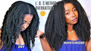 4 Awesome Moisturizing Techniques  Moisturizing Dry Natural Hair  Length Retention [upl. by Araiek]