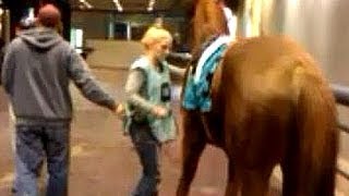 Horse saddling at Woodbine Race Track [upl. by Damon]