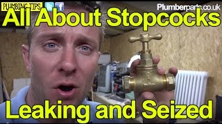 YOUR MAINS WATER STOPCOCK  HOW THEY WORK  FIXING LEAKS  Plumbing Tips [upl. by Hasila]