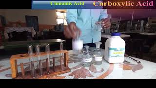 Cinnamic Acid 12th chemistry practical [upl. by Japha]