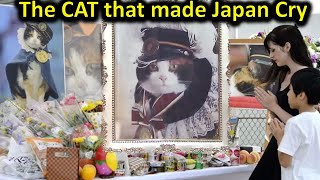 The True Story of the TAMA Cat that Made Japan Cry [upl. by Kedezihclem]