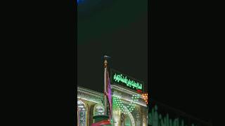 KAbutar karbala m Aya 😭explore fypシ゚viral fyq hussain [upl. by Eylsel]