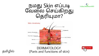 Chapter 2  Dermatology Part 1 Medical Coding Training in Tamil [upl. by Sierra]