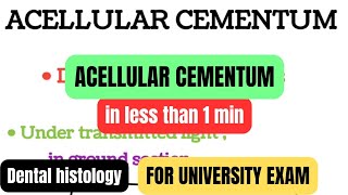 Acellular cementum in 1 mincementumprofessional examDental histologyBDSDentoTuber [upl. by Alegre]