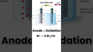 Electrolysis of Molten PbBr2  Chemistry  Shorts  Infinity Learn JEE [upl. by Leakim]