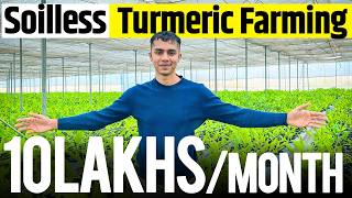 1 acre से 1 crore Soilless Turmeric Farming Profits Explained  Agritalk By Abhinav Roy [upl. by Eylatan]