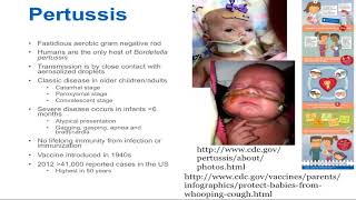 Pertussis Epidemiology and Clinical Presentation [upl. by Quintessa]