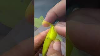 In the grass with a regular jig hook fishing angler camping softbait jigging bushcraft diy [upl. by Ioved]