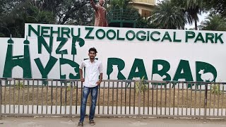 Nehru Zoological park Trip Hyderabad [upl. by Dodds]