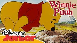 Freundschaftsgeschichten mit Winnie Puuh Verstecken spielen  Disney Junior [upl. by Gavan]