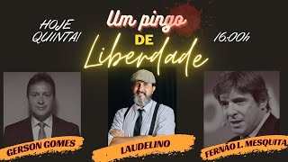 UM PINGO DE LIBERDADE 07 NOV [upl. by Naltiac707]