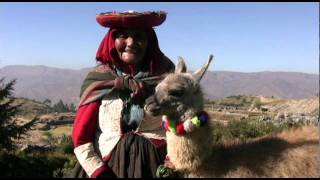 The Cuddly Camelids of Peru [upl. by Chelsey]